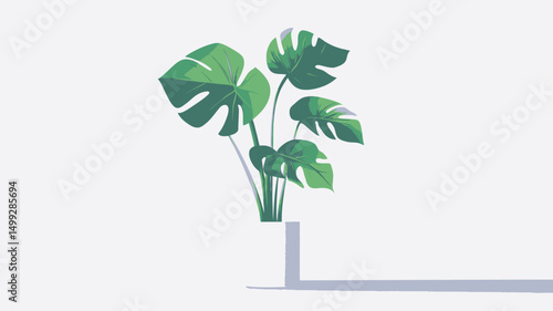 A digitally rendered illustration depicts a Monstera deliciosa plant in a simple white cylindrical vase, set against a plain white background. The plant is rendered in a stylized, slightly