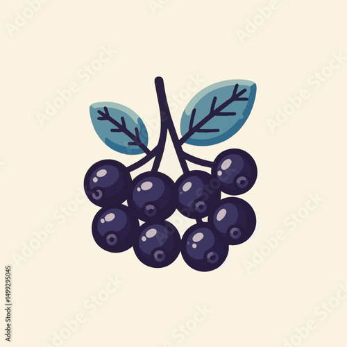 chokeberry, nature, leaf, plant, aronia, berry, fruit, black, ripe, branch, food, green, fresh, healthy, natural, garden, background, nutrition, organic, bush, berries, autumn, raw, closeup, leaves, h
