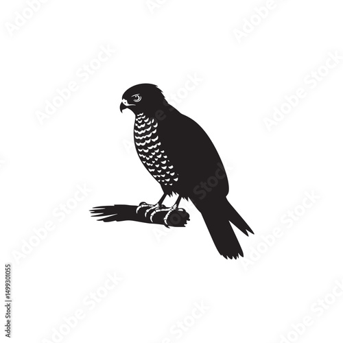 **"Swift Cooper’s Hawk Vector Silhouette: Fierce Raptor Design Featuring Sharp Talons, Streamlined Body, and Intense Gaze in Clean, Minimalist Style for Crafts and Digital Art"**
