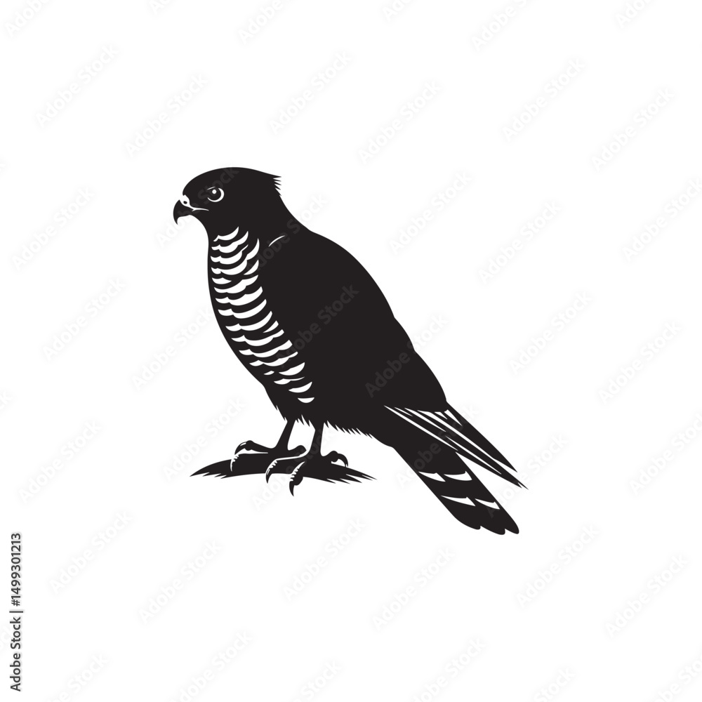 Fototapeta premium **