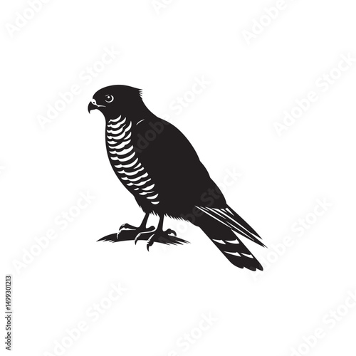 **"Swift Cooper’s Hawk Vector Silhouette: Fierce Raptor Design Featuring Sharp Talons, Streamlined Body, and Intense Gaze in Clean, Minimalist Style for Crafts and Digital Art"**
