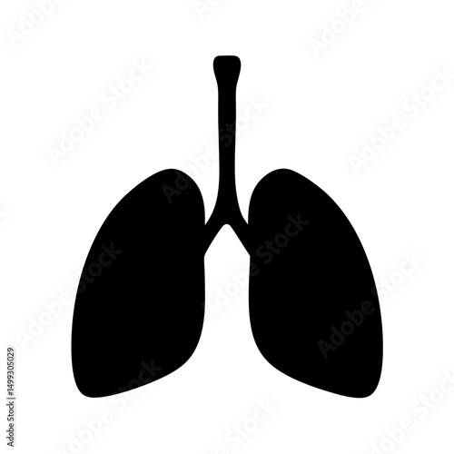 Detailed anatomical black and white image of human lungs, respiratory system
