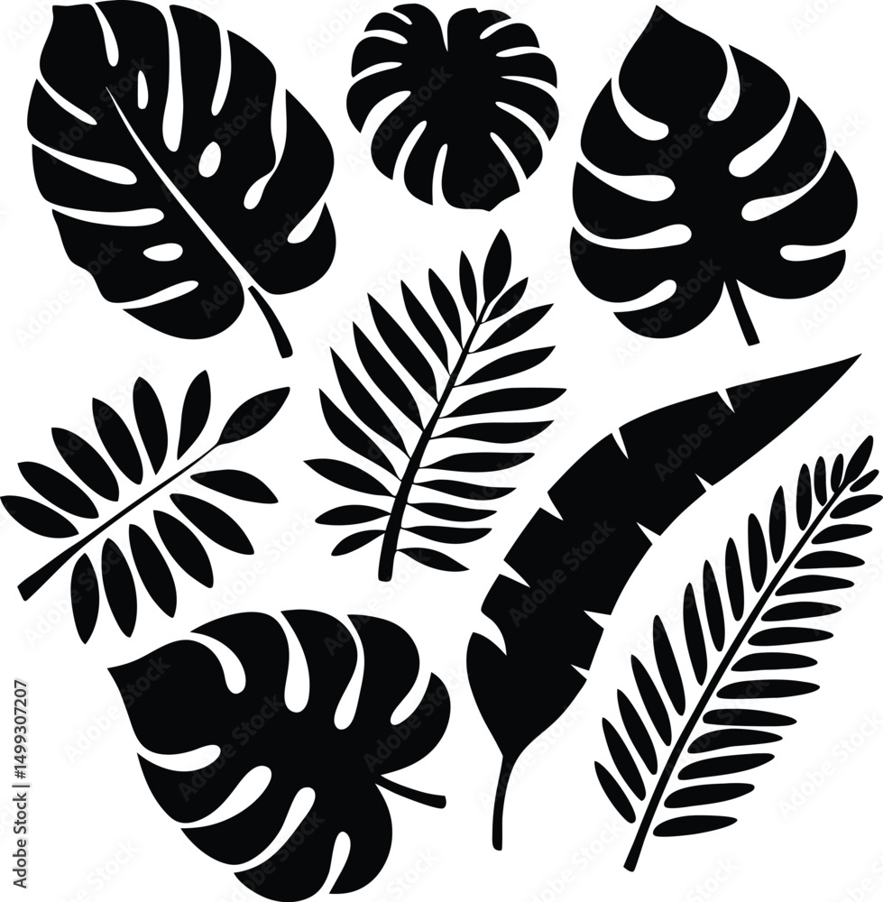 Obraz premium Collection of Black Tropical Leaves Silhouettes