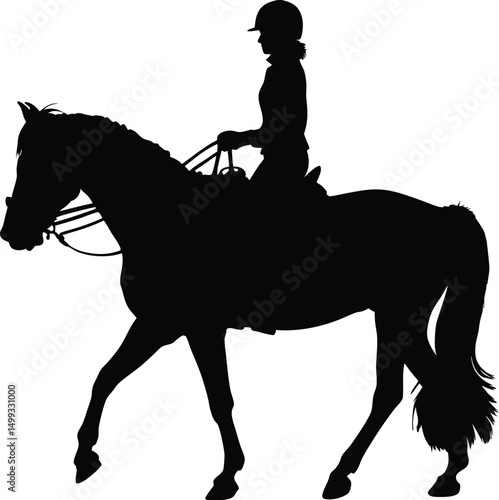 Silhouette of a Woman Riding a Horse