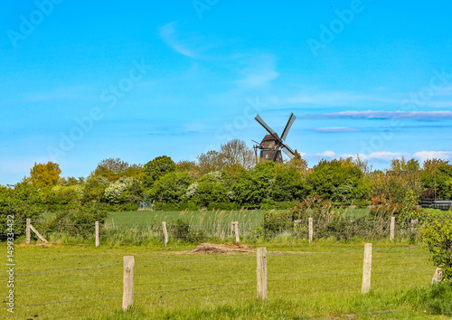 Windmühle auf Fehmarn