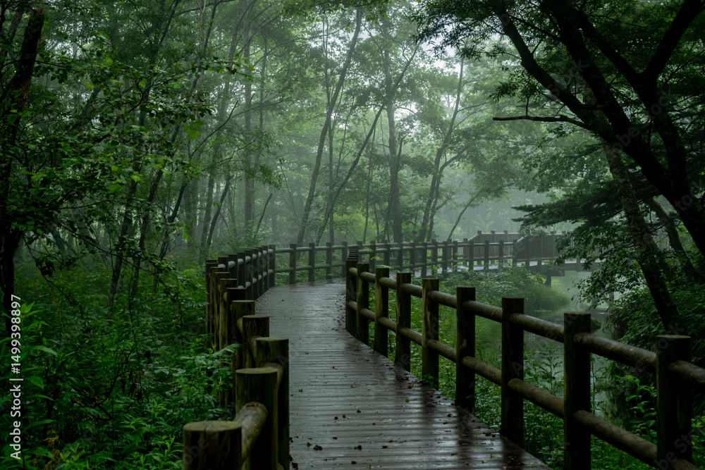 Obraz premium 日本の長野県にある上高地の散歩道