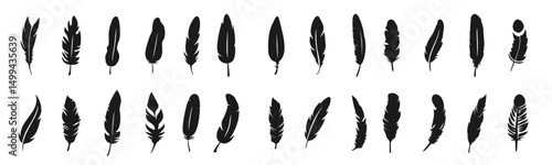 Bird feather icons on a white background. Black abstract feather silhouette collection. Elegance feather element decoration, Vector