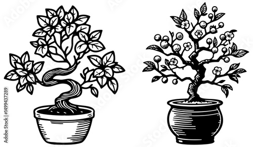 Bonsai Tree Sketch Illustration.