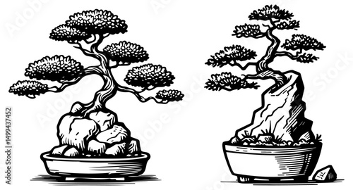 Bonsai Tree Sketch Illustration.