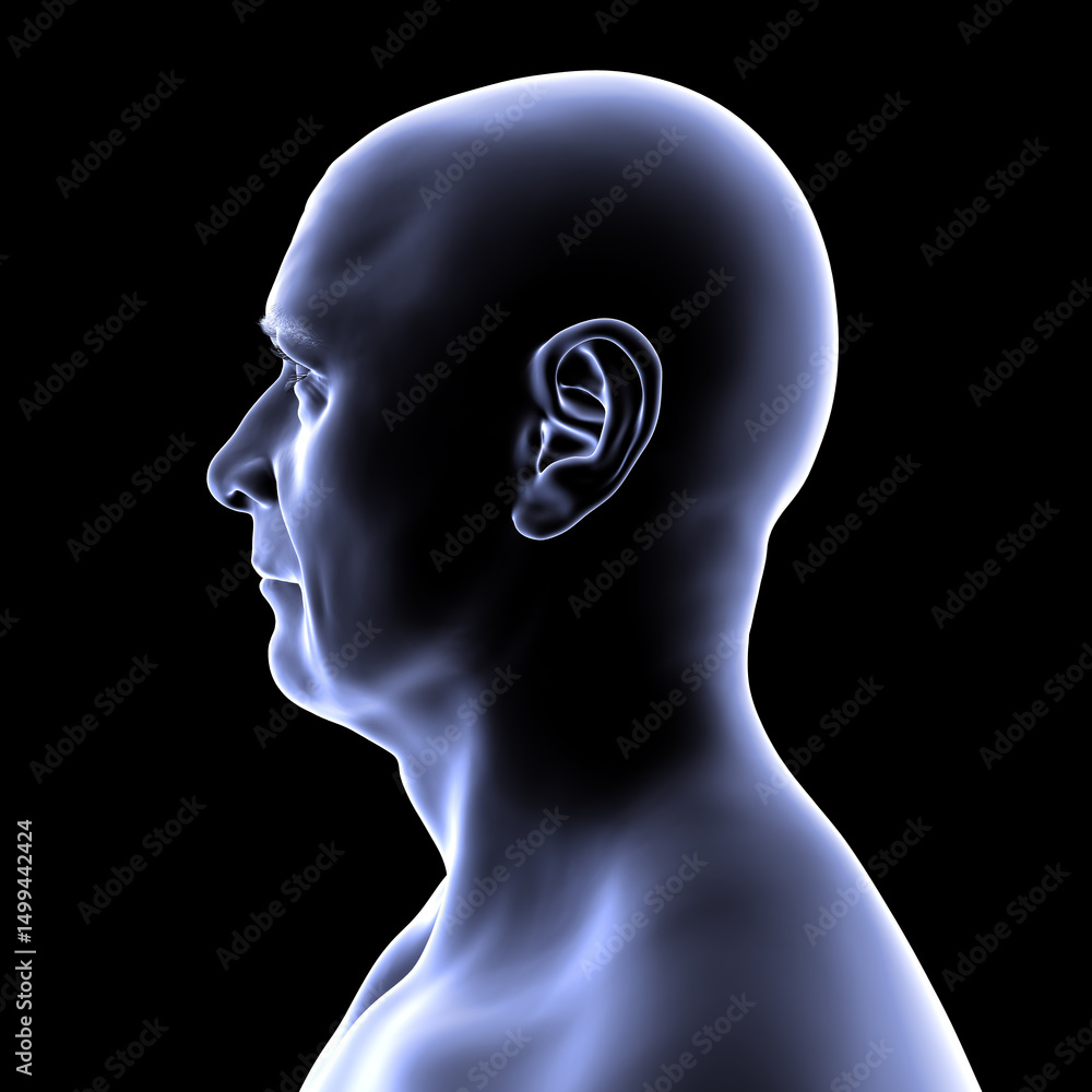 Obraz premium Man's head and neck in silhouette, side view, 3D illustration showing anatomical outline and structural features on a black background.