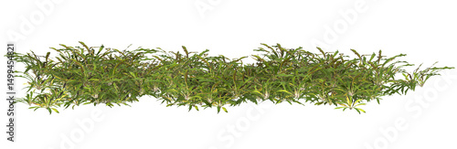 Fotografie 3d render of Anchusa,flowering plant isolated on transparent background, cutout
