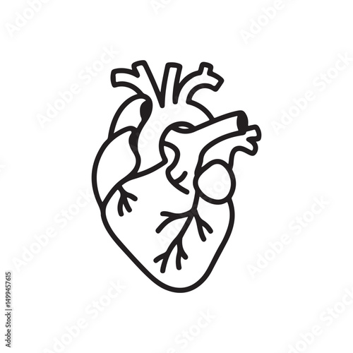 Hand drawn human heart. Vector.