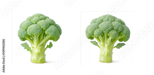 Fresh green broccoli heads, healthy vegetable close-up, isolated on white background, organic food, nutritious vegetable, healthy eating, natural produce