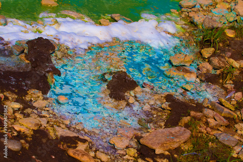 Obraz na plátně Blue-green alga, Cyanophyta, Myxophyceae during the flowering of the fresh reservoir