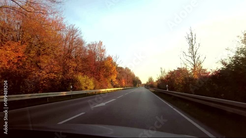 Car drive in autumn on a countryside road flanked by beautiful autumnal red trees