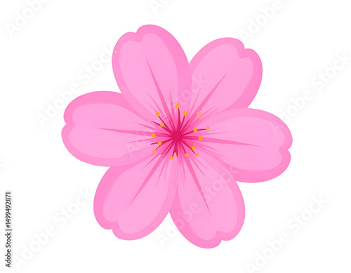 Pink blossom flower graphic