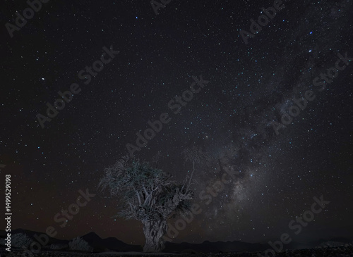 Un arbol y de fondo la via lactea desde el Desierto de Atacama, Chile