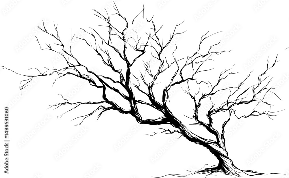 Fototapeta premium Monochrome illustration of a leafless tree with intricate branches drawing. Vector illustration