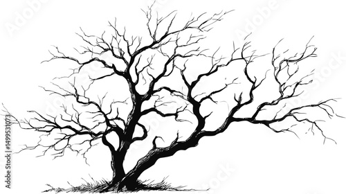 Silhouetted barren tree with intricate branches illustration. Vector illustration