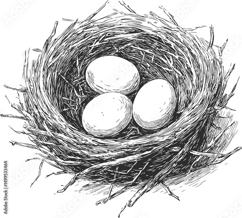 Illustration of three eggs in a detailed bird's nest, monochrome drawing. Vector illustration
