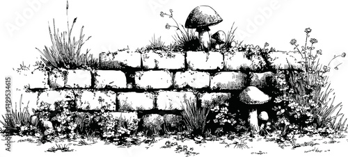 Ancient stone wall with mushrooms and wildflowers in black and white illustration. Vector illustration