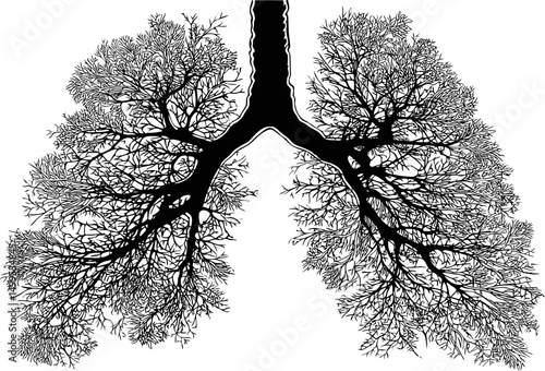 Detailed black and white illustration of lung shaped tree branches, abstract art. Vector illustration