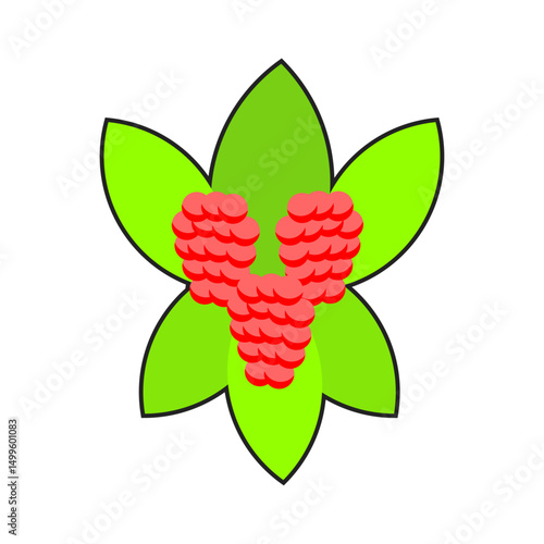 cartoon style salmonberry illustration