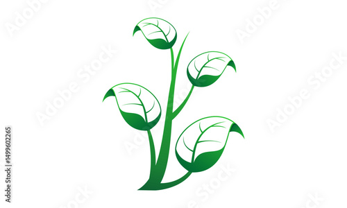 Plant leaves illustration design vector