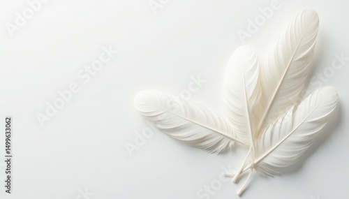 Close-up shot of pristine white feathers on pure white backdrop, graphic, serenity, pastel