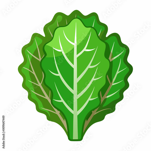 Kale icon on white background