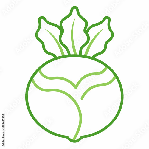 Kohlrabi outline  icon on white background