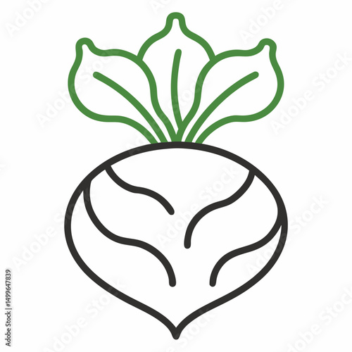 Kohlrabi outline  icon on white background