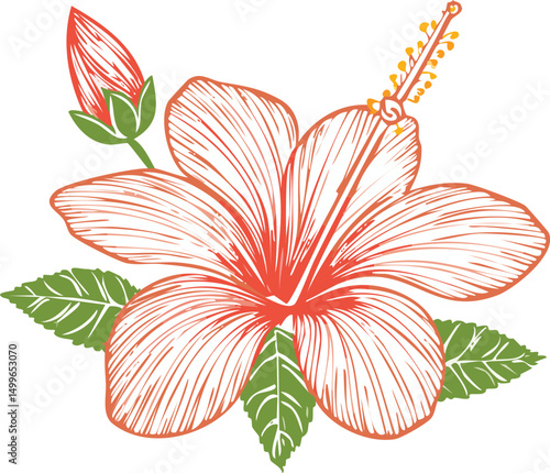 red flower isolated on white Vector illustration of flower outline 