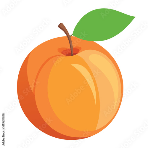 a fresh apricot with soft orange skin and smooth texture