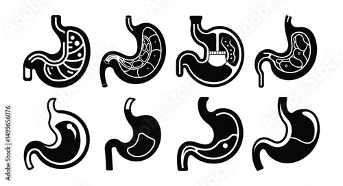 Stomach organ icons set human digestive system vector design