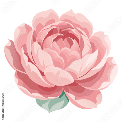 a light pink peony with voluminous petals and softness