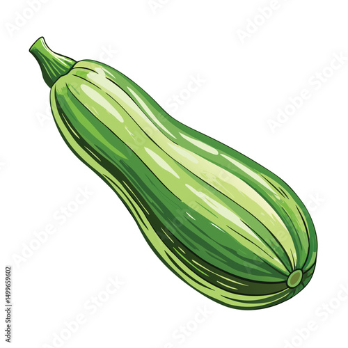 A single delicate zucchini its smooth skin and shape