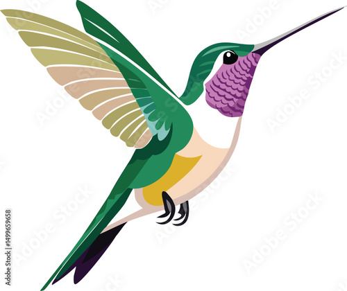 Vector illustration of a hummingbird; graphic image, artwork