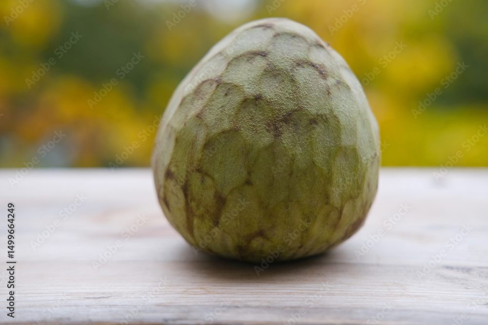 Obraz premium ripe cherimoya fruit, exotic, fresh Exotic, healthy food, custard apple, dragon egg, delicious green raw Annona Cherimola