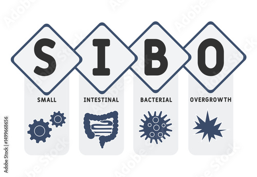 SIBO - Small Intestinal Bacterial Overgrowth acronym. medical concept background. vector illustration concept with keywords and icons. lettering illustration with icons for web banner, flyer, landing