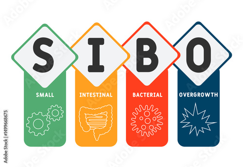 SIBO - Small Intestinal Bacterial Overgrowth acronym. medical concept background. vector illustration concept with keywords and icons. lettering illustration with icons for web banner, flyer, landing