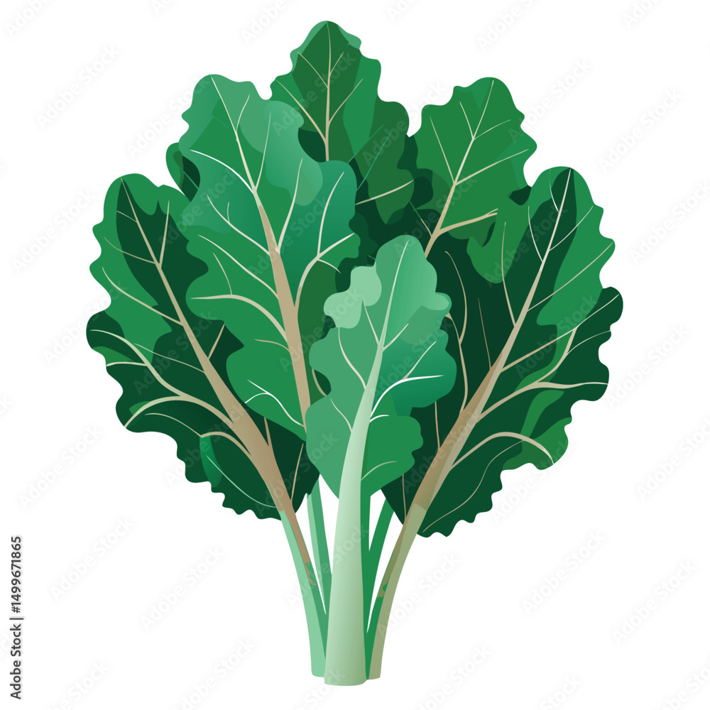 Fototapeta premium a bunch of kale with deep green leaves and subtle hues