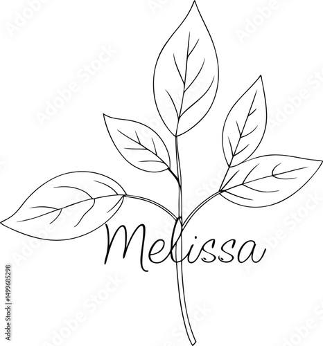A black outline drawing shows Melissa written under a plant sprig on white