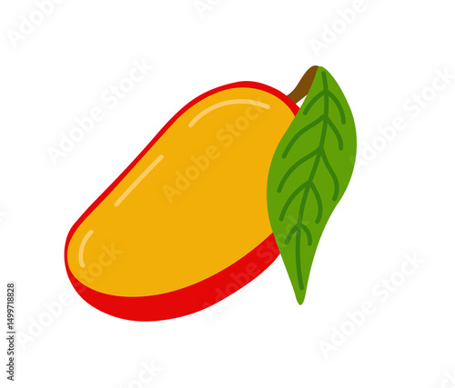 Mango tropical exotic halved fruit. Vector hand-drawn illustration, isolated on white background.