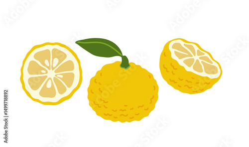Yuzu citrus asian tropical exotic japanese fruit set. Whole, sliced, cut fruit. Vector hand-drawn illustration, isolated on white background.