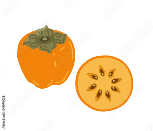 Persimmon tropical exotic fruit. Whole, halved and piece. Vector hand-drawn illustration, isolated on white background.