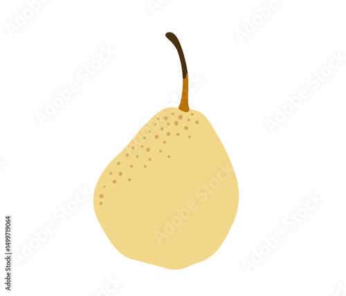 Asian pear tropical exotic fruit. Vector hand-drawn illustration, isolated on white background.