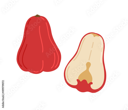 Java apple, Semarang rose-apple, and wax jambu. Whole, halved and piece. Vector hand-drawn illustration, isolated on white background.