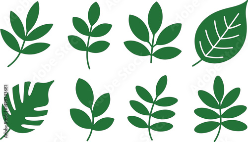 Green leaf illustrations nature botanical design elements