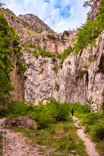 Εκτύπωση καμβά Hikingg train in a green canyon in summer